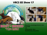 VRCS EE-Show 17